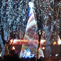 В Днепропетровске главную елку откроют 26 декабря