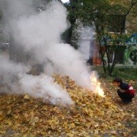 В Днепропетровске предупреждаеют об опасности сжигания опавших листьев
