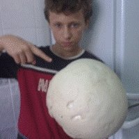 В Днепропетровске вырастили уникальный гриб-дождевик