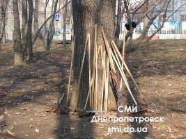 В День окружающей среды, в Днепропетровске прошел общегородской субботник