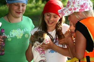 На летний оздоровительный отдых для детей власти  Днепропетровска собираются выделить около 2,5 млн. гривен