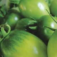 Зеленые помидоры. Рецепты консервирования