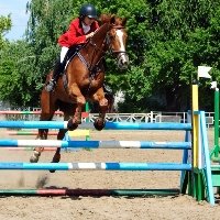 В Днепропетровске состоится открытый Чемпионат города по конному спорту