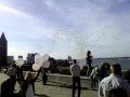 Запуск воздушных шаров на День города в Днепропетровске