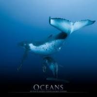 14 октября в Украине стартует показ  легендарного фильма «Океаны». Видео