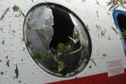 На Камчатке разбился самолет Ан-28